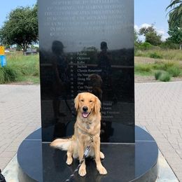Golden Retriever Puppies from TC's Golden Ranch