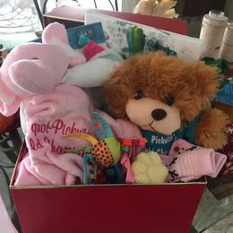 Pug Puppies from Pickwick Pugs