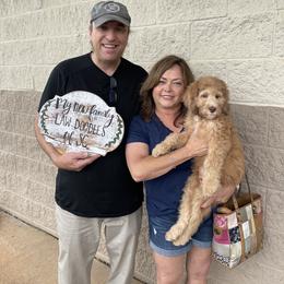 Golden Aussiedoodle and Goldendoodle Puppies from Law Doodles of SC