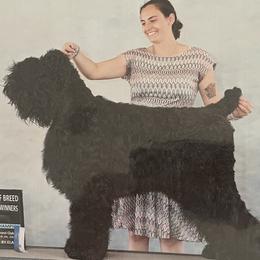 Harley Quinn - Black Russian Terrier