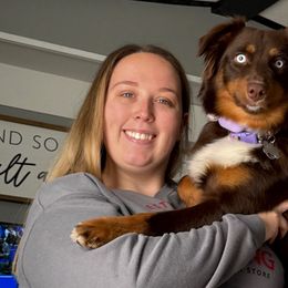 Australian Shepherds from Stacy’s Shepherds