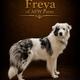 Freya
