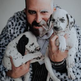 Dalmatian and Doberman Pinscher Puppies from Lorelei Legends