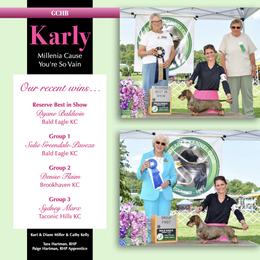 Karly - Dachshund