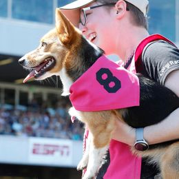 Pembroke Welsh Corgi Puppies from Outlands Corgis