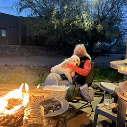 Driver - White male Great Pyrenees puppy in Elfrida, Arizona from Outlaw Acres Farm & Kennels