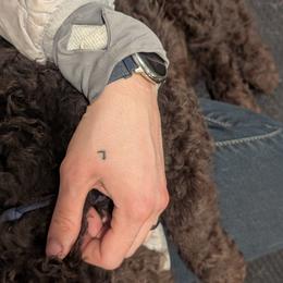 Australian Labradoodles from Pawlite Best Friends