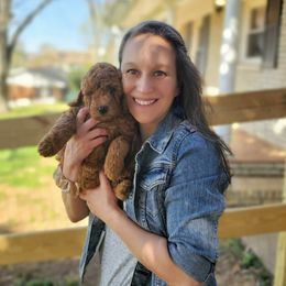 Goldendoodle Puppies from Edgewater Doodles