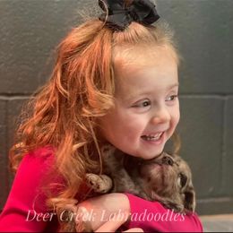 Australian Labradoodle, Cavapoo, and Goldendoodle Puppies from Deer Creek Labradoodles