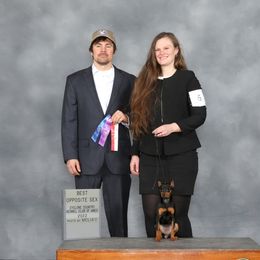 Abby - Miniature Pinscher