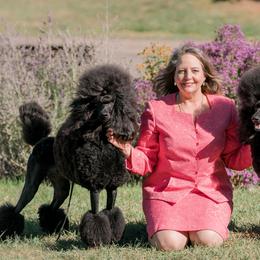 Havanese and Poodles from Ali-Ann Standard Poodles
