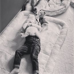 Siberian Husky Puppies from TreeLine Siberians