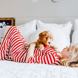 Goldendoodle Puppies from Golden Haven Doodles