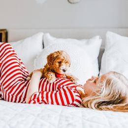 Goldendoodle Puppies from Golden Haven Doodles