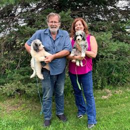 Mr. Brown-Belle - Blue merle male Aussiedoodle puppy in Williamsburg, Iowa from Terry Lynn's Aussiedoodles/My Blue Dog Ranch