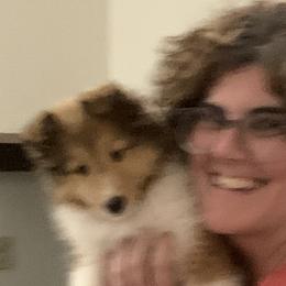 Shetland Sheepdogs from Sei Bella Shelties