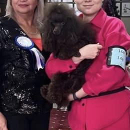 Florida Iris James Aurora (toy) - Poodle