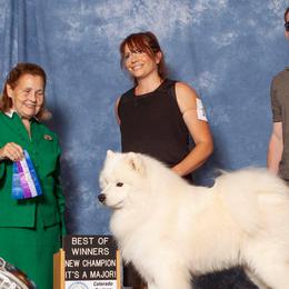 Samoyeds from T&M Samoyeds