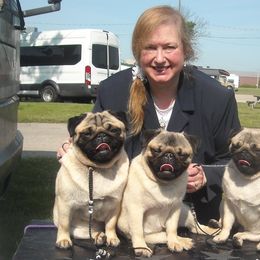 Pugs from Snuggle Pugs