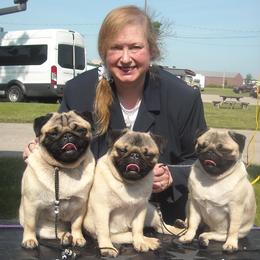 Pugs from Snuggle Pugs