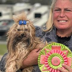 Boxers, Chow Chow, Parson Russell Terriers, and Russian Tsvetnaya Bolonkas from SouthFork Ranch