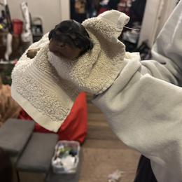 Elephant (Elphy) - Black and tan female Cavalier King Charles Spaniel puppy in Corpus Christi, Texas from Kings Cross Cavaliers