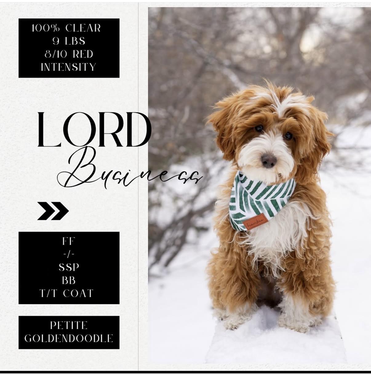 Lord business