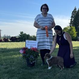 Australian Shepherd Puppies from Storybrooke Australian Shepherds