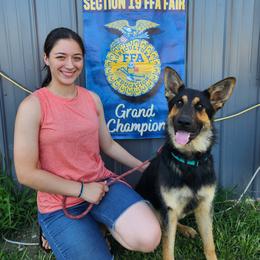 Lea - Black and tan female German Shepherd puppy in Ramsey, Illinois from Haus-Farr German Shepherds
