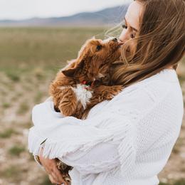 Bernedoodle, Boxer, Goldendoodle, and Havapoo Puppies from Lady Paws Puppies