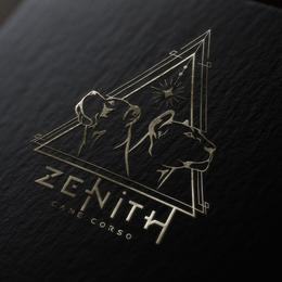 Pink Collar - Black female Cane Corso puppy in Houston, Texas from Zenith Cane Corso
