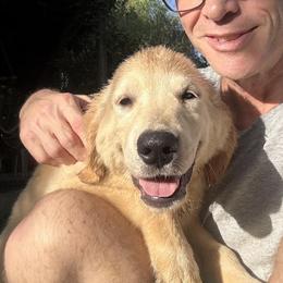 Pecan Orchard's Yellow Joy - Golden female Golden Retriever puppy in Pearland, Texas from Pecan Orchard Goldens