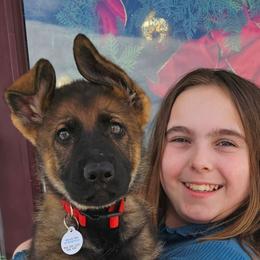 Red collar female - Sable German Shepherd puppy in High Point, North Carolina from Dunkelheit zu Licht German Shepherd K9