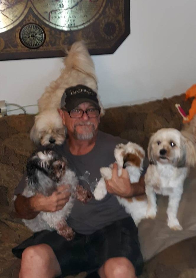 Lhasa Apsos from Steve Dean