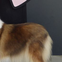 Collies from Tapestry Collies