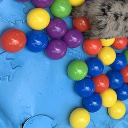 Australian Shepherd Puppies from Bunkhouse aussies