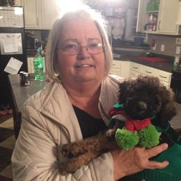 Poodle Puppies from Tails Up Standard Poodles