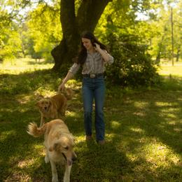 Golden Retriever All Grown Up from Magnolia Farm