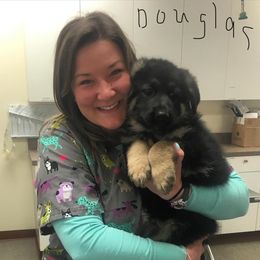 German Shepherd Puppies from Dawnhill