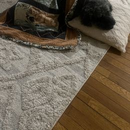 Aussiedoodle Puppies from The Ocala Doodle Ranch