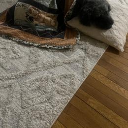 Aussiedoodle Puppies from The Ocala Doodle Ranch