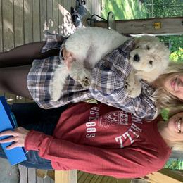 Goldendoodle Puppies from Dood Ranch Doodles