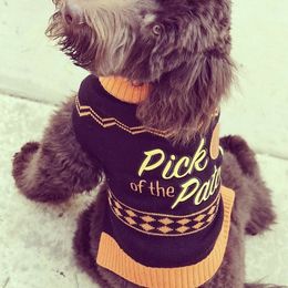 Labradoodle Puppies from Our Lovable Labradoodles