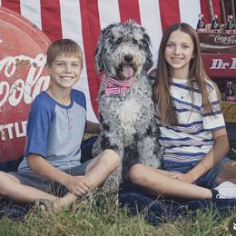 Aussiedoodle and Australian Shepherd All Grown Up from Dollface Aussies