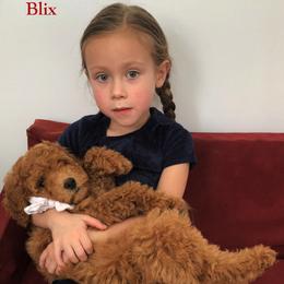 BLIX - male Cavapoochon puppy in Fredericksburg, Ohio from Timshell Farm Specialty Crossbreed Puppies