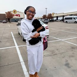 Poppy (Amy Mitchell) - Black female Goldendoodle puppy in Houston, Texas from Were The Mack'Doodles