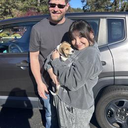 Bear - Cream male Dachshund puppy in Browns Valley, California from Hidden Oaks Dachshunds