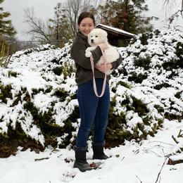 Great Pyrenees Puppies from The Yosemite Pyrenees Ranch