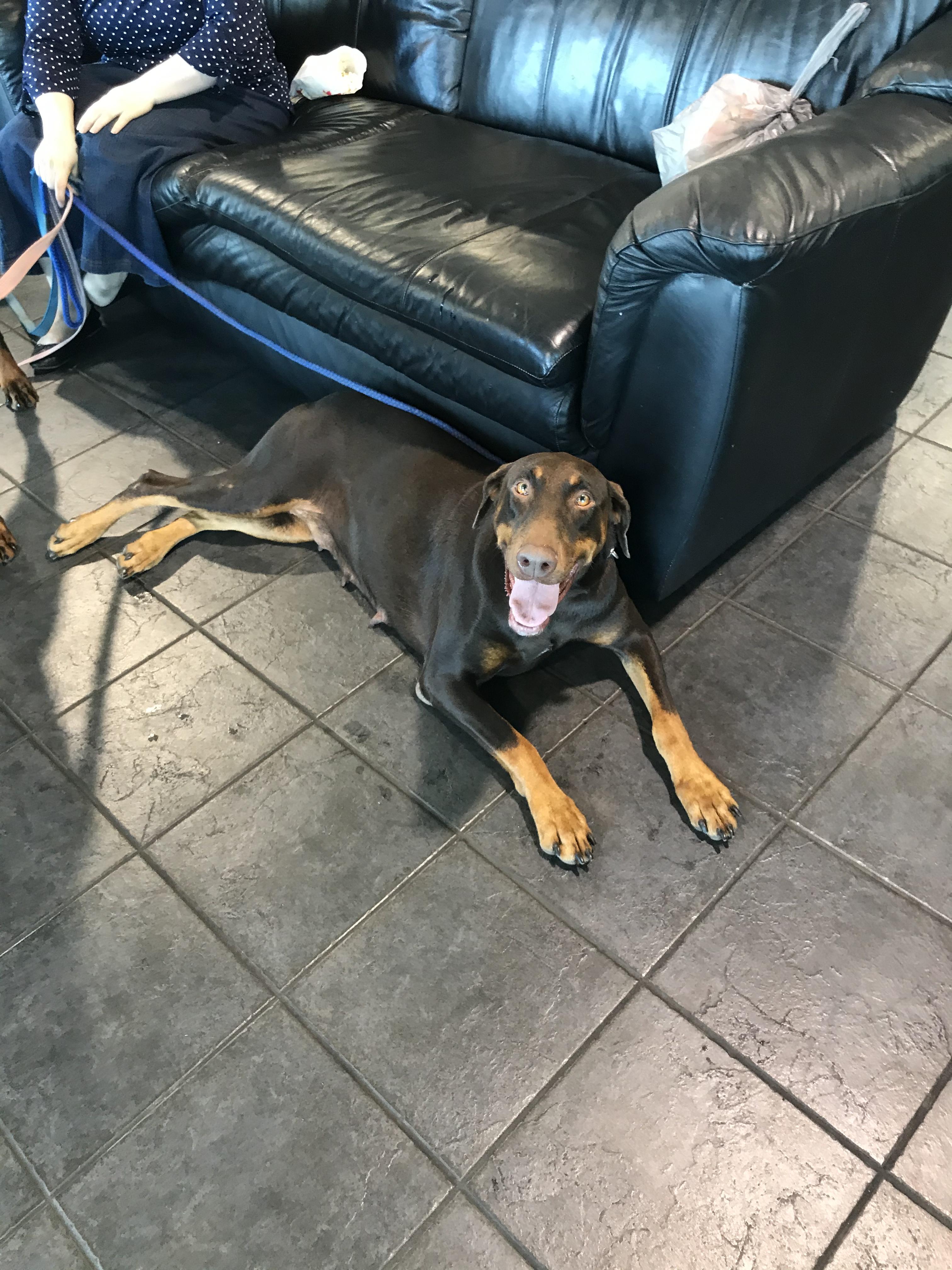 Nala