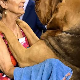 Bloodhounds from Sherick's Bloodhounds